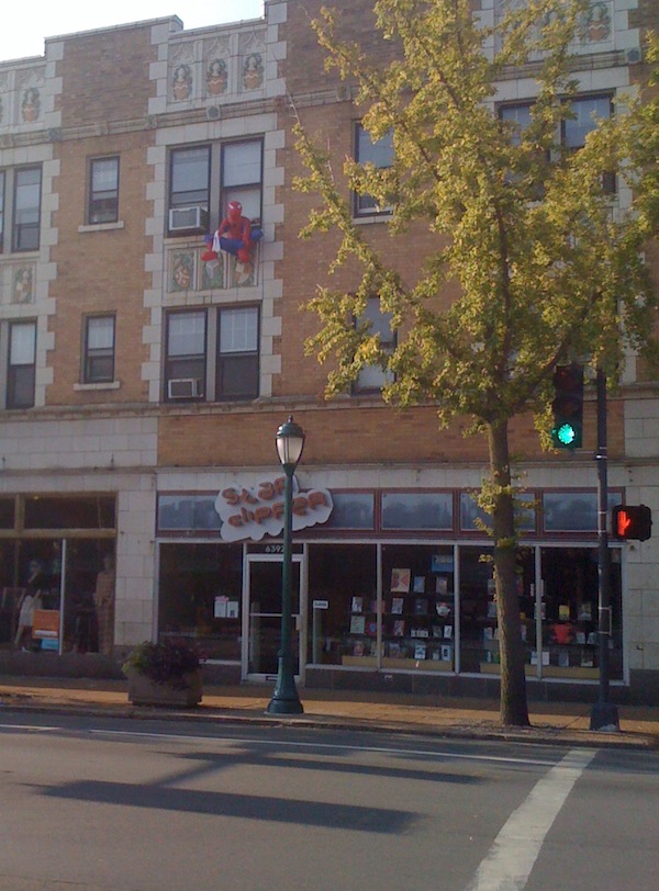 Sighting: Spiderman Protecting the Loop - PUNCHING KITTY