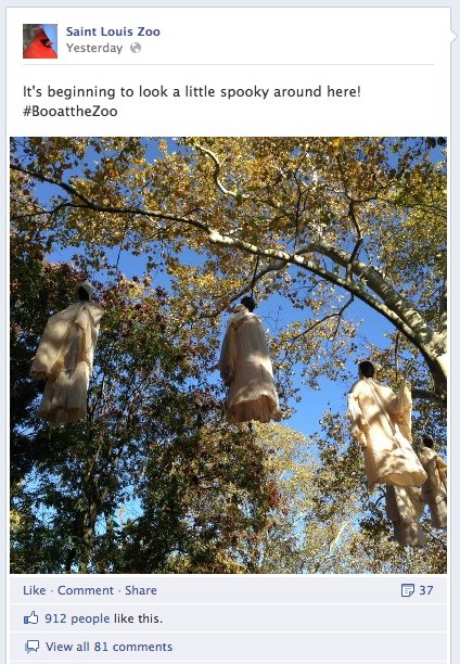 Are the St. Louis Zoo’s Halloween Decorations Racist?