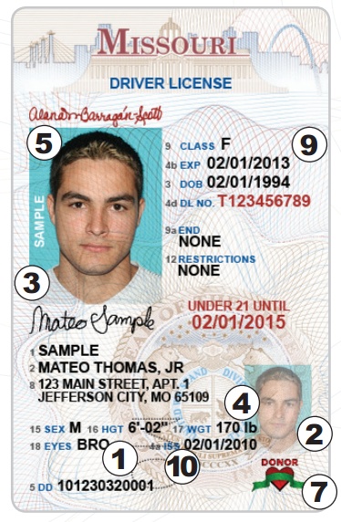 Check Out the New Missouri Drivers License! - PUNCHING KITTY